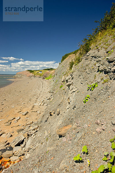Joggins Fossil Klippen  Bucht von Fundy  Nova Scotia  Kanada