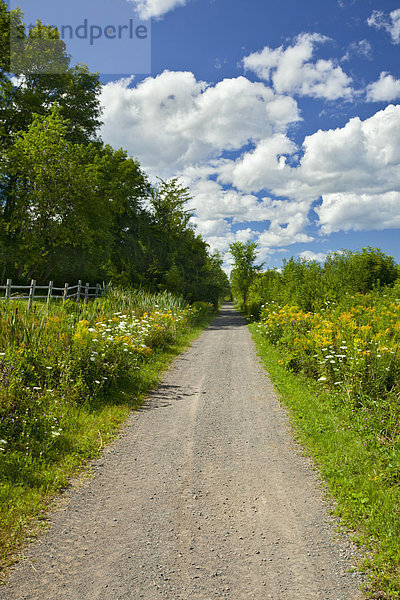 Wandern  Trail  Swisttal  Sunrise Trail  Nova Scotia  Kanada