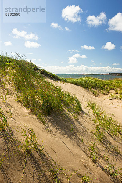 Sanddüne  Port Hood Beach  Cape Breton  Nova Scotia  Kanada