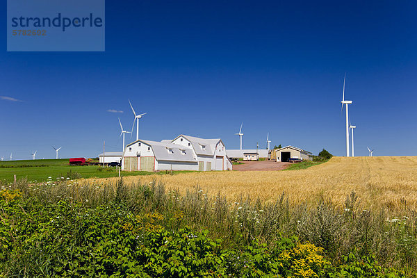 Windturbine Windrad Windräder Kanada Prince Edward Island