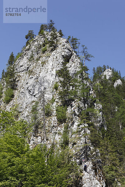 Klettersteig bei Johnsbach  Nationalpark Gesäuse  Ennstaler Alpen  Obersteiermark  Steiermark  Österreich  Europa