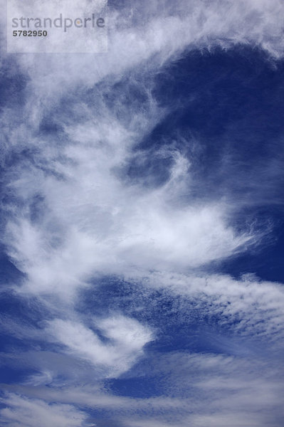Wolkenhimmel mit Federwolken (Cirrocumulus)  Mittelfranken  Bayern  Deutschland  Europa