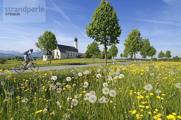 Junge Frau fährt Rennrad  Wallfahrtskirche Wilparting  Irschenberg  Oberbayern  Bayern  Deutschland  Europa