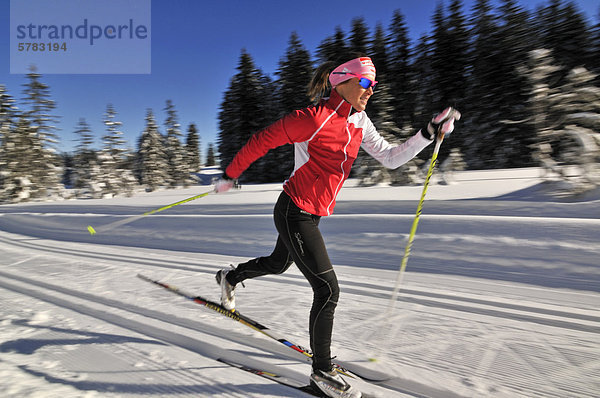 Evi Sachenbacher-Stehle beim Langlaufen  Hemmersuppenalm  Reit im Winkl  Chiemgau  Bayern  Deutschland  Europa