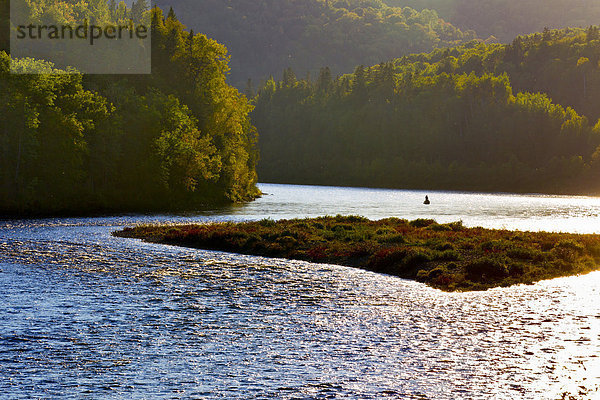 Lachsangeln auf den Madapedia River  Quebec  Kanada