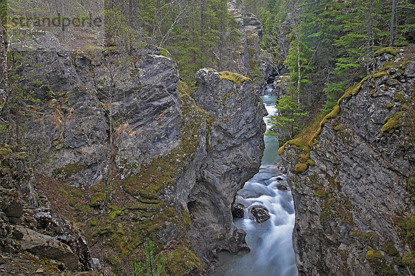 Canyon auf große Oliver Creek  zwischen Kitwanga und Terrace  British Columbia