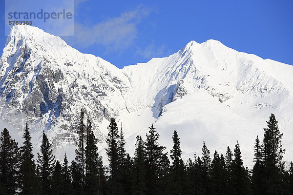 Hudson Bay Mountain im Schnee  Bulkley Valley  British Columbia