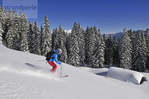 Skifahrer im Skigebiet Steinplatte  Reit im Winkl  Chiemgau  Bayern  Deutschland  Europa  Tirol  Österreich  Europa
