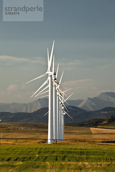 Stromerzeugung Windmühlen in der Nähe von Pincher Creek  Alberta  Kanada.
