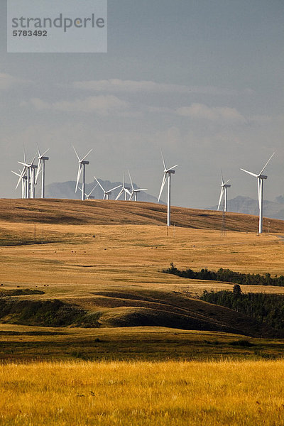 Stromerzeugung Windmühlen in der Nähe von Pincher Creek  Alberta  Kanada.