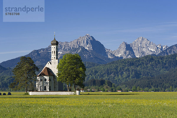 Wallfahrtskirche St. Coloman  Schwangau bei Füssen  Bayerische Alpen  Allgäu  Oberbayern  Bayern  Deutschland  Europa