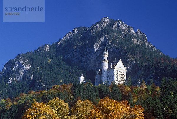 Schloss Neuschwanstein  Schwangau bei Füssen  Bayerische Alpen  Allgäu  Oberbayern  Bayern  Deutschland  Europa