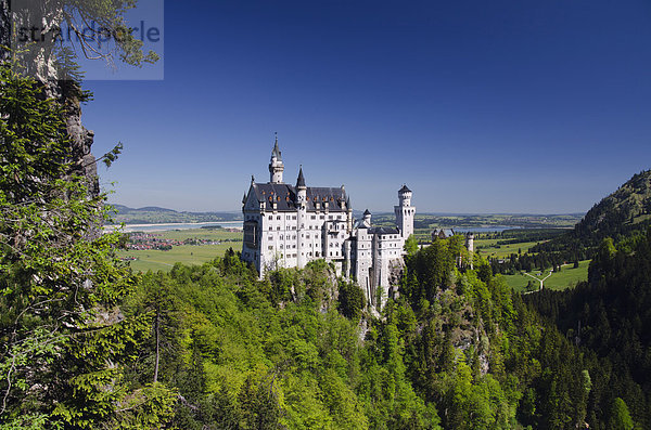 Schloss Neuschwanstein  Schwangau bei Füssen  Bayerische Alpen  Allgäu  Oberbayern  Bayern  Deutschland  Europa