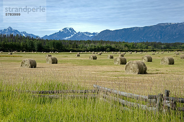 Heu-Feld in der Chilcotin Region British Columbia Kanada