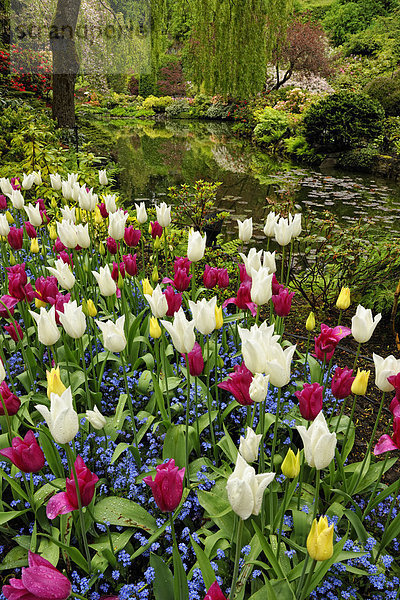 Butchart Gardens - Floral zeigt Steinbruch-See in der versunkene Garten  Victoria  British Columbia  Kanada