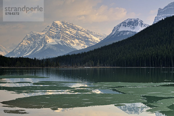 Lower Waterfowl Lake mit schmelzen Eis und Berg Reflexionen  Jasper  Alberta  Kanada