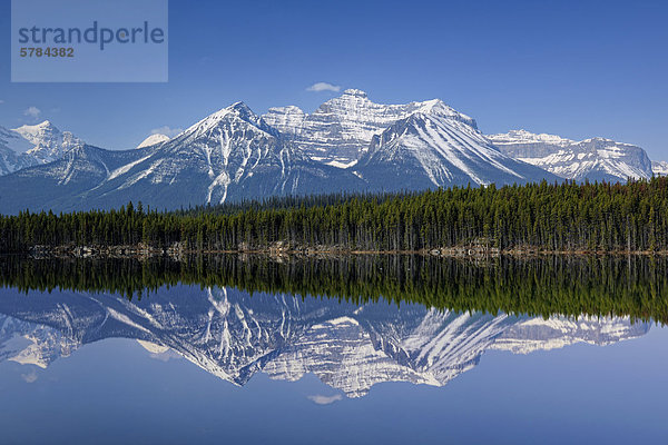 Der Bug-Bereich spiegelt sich in Herbert Lake  Banff  Alberta  Kanada