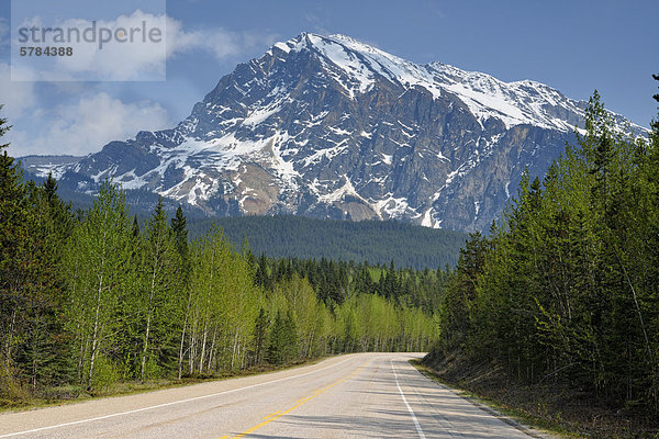 Icefields Parkway mit MT. Hardisty  Jasper  Alberta  Kanada