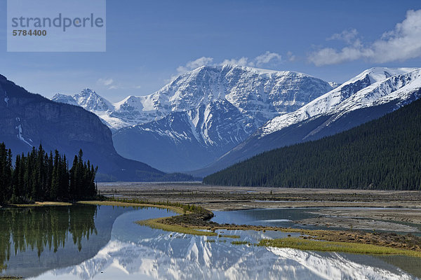 Mount Kitchener spiegelt sich in der Beauty-Creek-Pool nahe dem Sunwapta River  Jasper  Alberta  Kanada