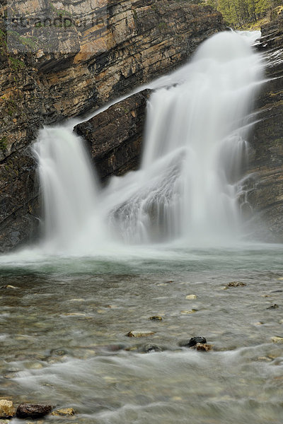Cameron Falls  Waterton-Lakes-Nationalpark  Alberta  Kanada