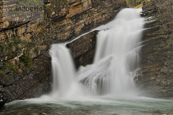 Cameron Falls  Waterton-Lakes-Nationalpark  Alberta  Kanada