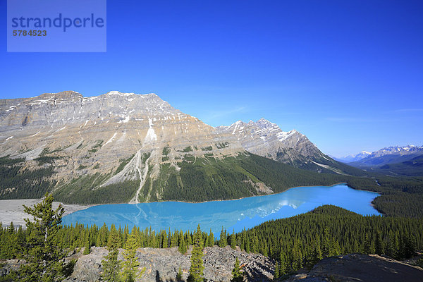 Peyto Lake  Banff-Nationalpark  Alberta  Kanada