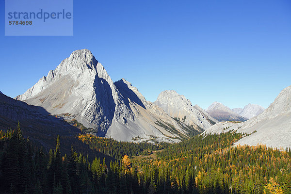 Burstall Pass  Kananaskis Country  Alberta  Kanada