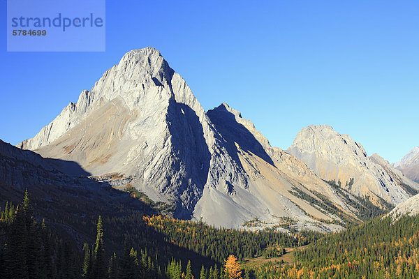 Burstall Pass  Kananaskis Country  Alberta  Kanada