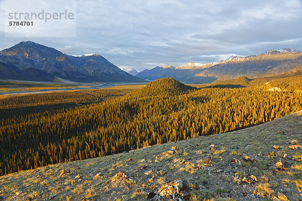 Schlank ist River Valley  Kluane National Park  Yukon  Kanada