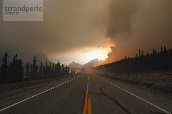 Waldbrand Abbrennen der David Thompson Highway in Alberta  Kanada