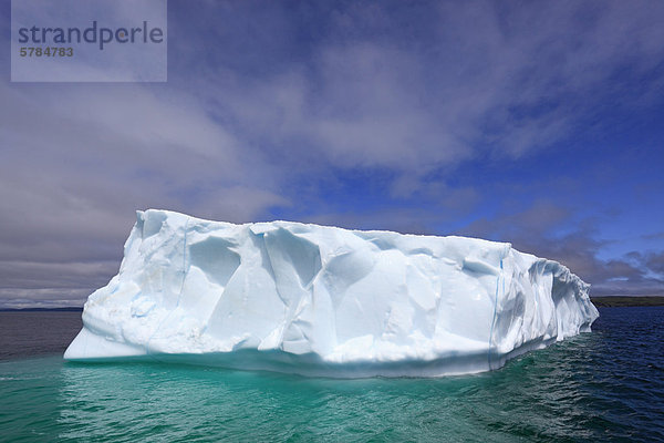 Ein hoch aufragenden Eisberg flott vor der Ost Küste von Neufundland in der Nähe Gans-Bucht im Atlantischen Ozean.