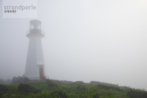 Historischer Leuchtturm auf Quirpon Island  Neufundland  Kanada