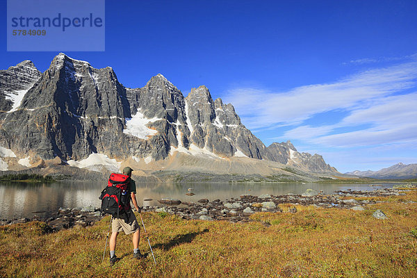 Backpacking durch Alpweiden an Amethyst Seen mit der Stadtmauern in den Hintergrund  Tonquin Tal  Jasper Nationalpark  Alberta  Kanada