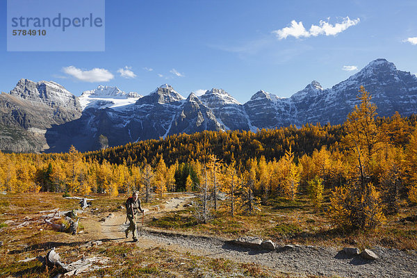 Wanderer im Larch Valley  Banff Nationalpark  Alberta  Kanada in den kanadischen Rockies