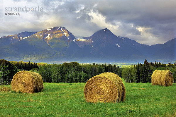 Diese Landschaft-Bild der Runde Heuballen in einem Bauernhof-Feld mit Hudson Bay Mountain im Hintergrund war erfasste früh ein Fall Morgen im Bulkley-Tal in der Nähe von Smithers-British Columbia-Kanada.