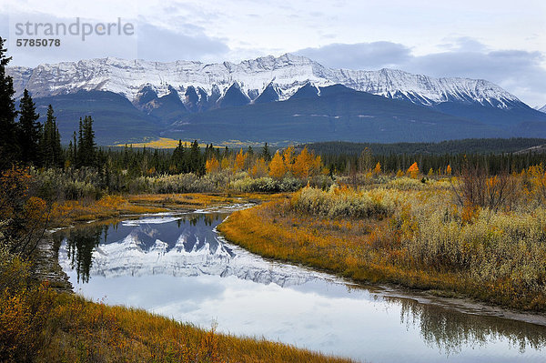 In diesem Herbst Landschaft Bild des schneebedeckten Rocky Mountains und Herbst farbige Bewuchs reflektieren in einem ruhigen Strom war erfasste eines Morgens bewölkt in Jasper Nationalpark  Alberta Kanada.