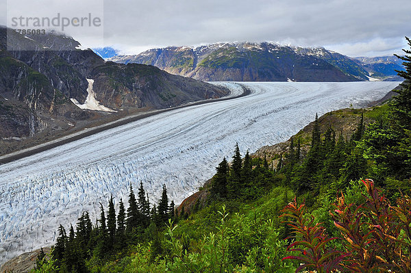 Ein Herbst Landschaft Bild des gewundenen Süd-West Arms den Salmon Gletscher in der Nähe der Stadt Stewart im nördlichen British Columbia Kanada mit seinen blauen Eis im Gegensatz zu den roten und grünen farbigen Gebirgsvegetation.