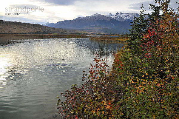 Diese Landschaft Bild Uferlinie und schneebedeckten Rocky Mountains entlang Talbot Lake wurde erfasste ein wolkenschleier Herbstmorgen in Jasper Nationalpark  Alberta Kanada.
