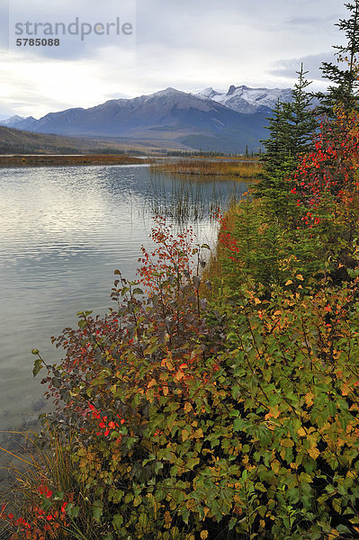 Dieses vertikale Landschaft Bild der Uferlinie und schneebedeckten Rocky Mountains entlang Talbot Lake war erfasste ein wolkenschleier Herbstmorgen in Jasper Nationalpark  Alberta  Kanada.