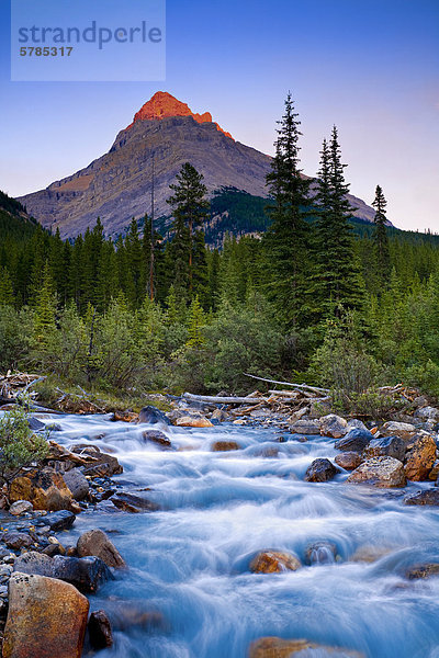 Mount Unkraut und Silverhorn Creek  Banff Nationalpark  Alberta-Sonnenuntergang