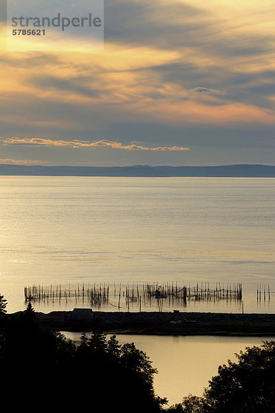 Wehr Net  Dark Harbour Grand Manan Island  New Brunswick  Kanada