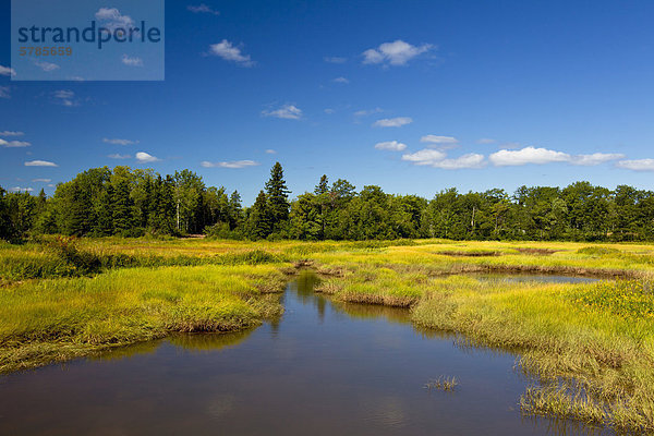 Acadian Dykes  (1710 – 1755)  Wallace Area  Nova Scotia  Kanada