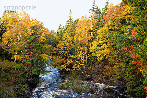 Brook  Shunacadie  Cape Breton  Nova Scotia  Kanada