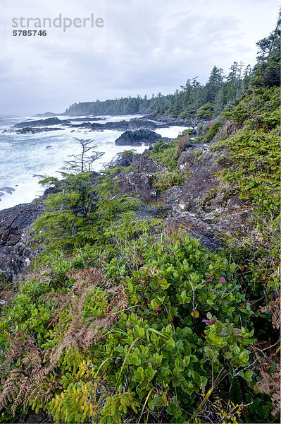 Wild Pacific Trail in Ucluelet  BC  Kanada