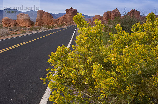 Valley of Fire State Park  Nevada  USA