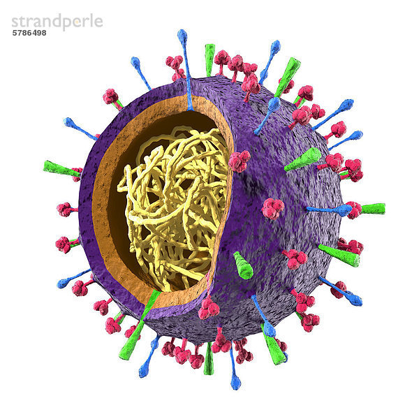 Farbaufnahme Farbe Einsamkeit Gebäude Illustration weiß Hintergrund Grippe Virus