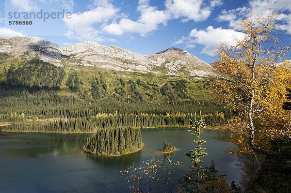 Azouzetta Lake Murray Palette an der Grenze des Pine Le Turtle Provincial Park  Pine Pass  Highway 97 nördlich von Prince George  British Columbia