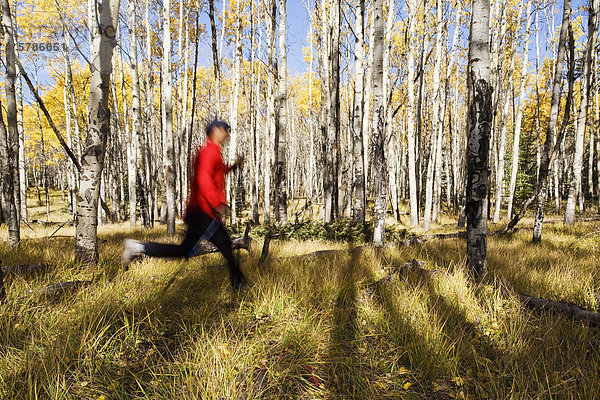 Mitte zwischen männlichen Wanderer im Banff Nationalpark  Alberta Kanada ausgeführt.