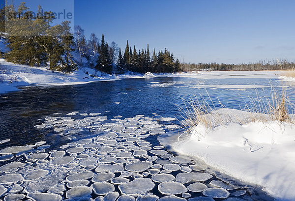 Pfanne Eis entlang der Whiteshell  Whiteshell Provincial Park  Manitoba  Kanada