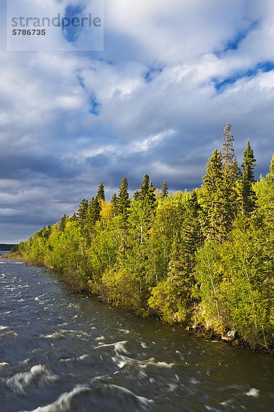 Fischotter Stromschnellen entlang der Churchill River  nördlichen Saskatchewan  Kanada